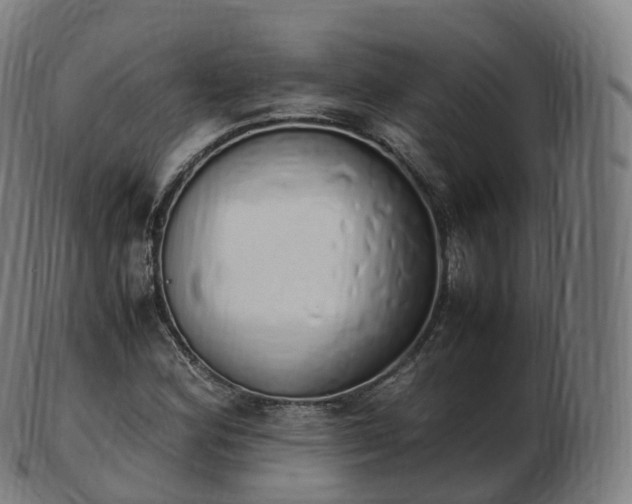 X0000103331164200809121204