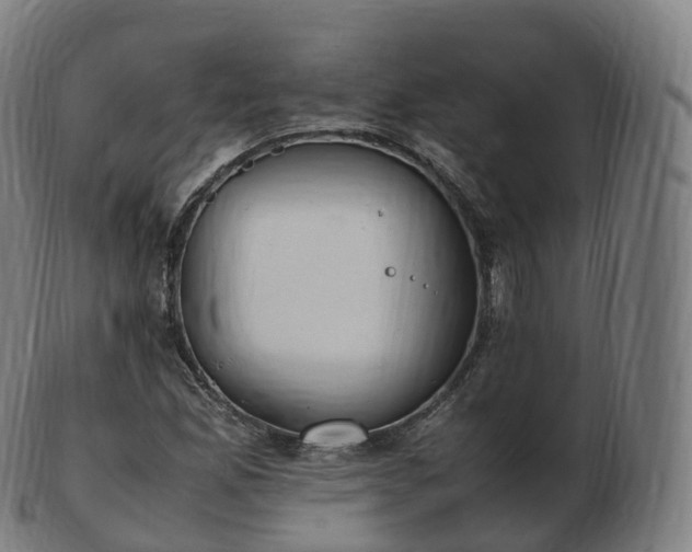 X0000103331165200809121204