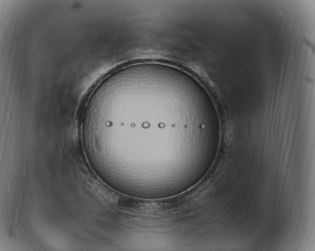 X0000103331167200809121204