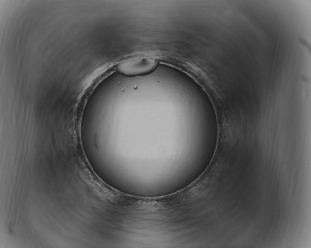 X0000103331168200809121204