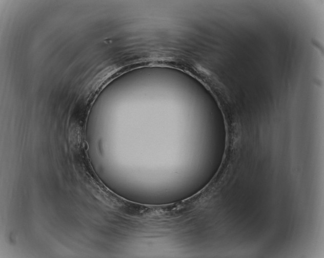 X0000103331169200809121204