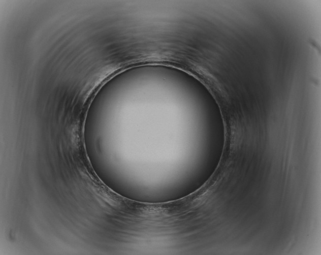 X0000103331170200809121204