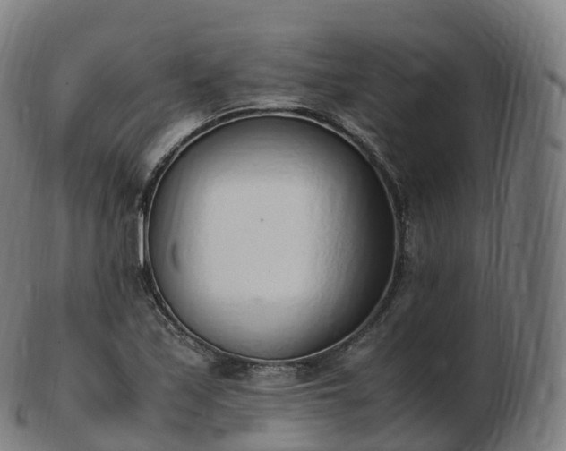 X0000103331171200809121204