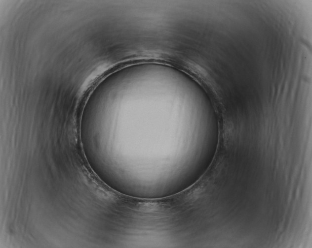 X0000103331172200809121204