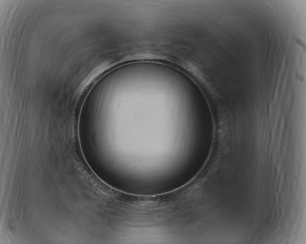 X0000103331173200809121203