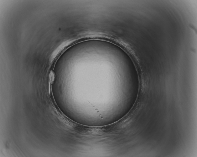 X0000103331175200809121203