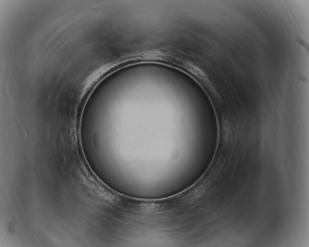 X0000103331176200809121203