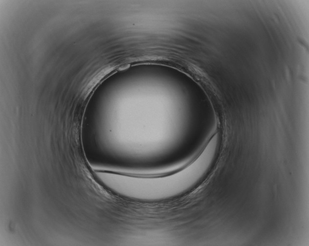 X0000103331177200809121203