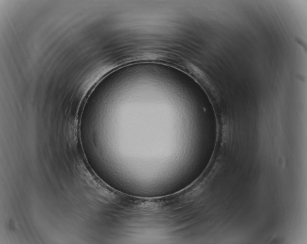 X0000103331178200809121203