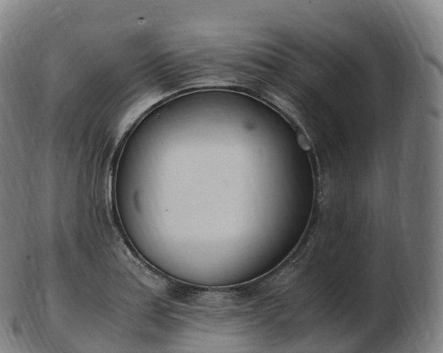 X0000103331179200809121203