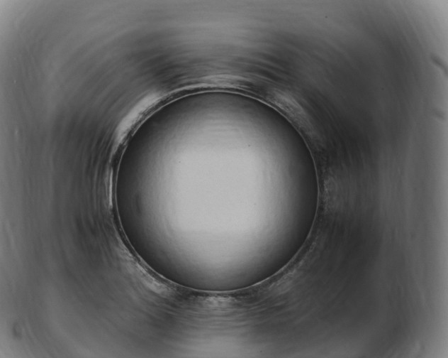 X0000103331180200809121203