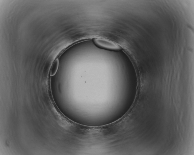 X0000103331181200809121203