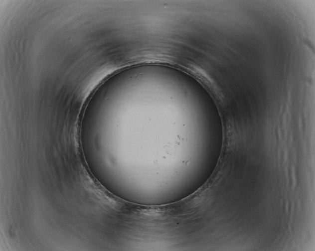 X0000103331182200809121203