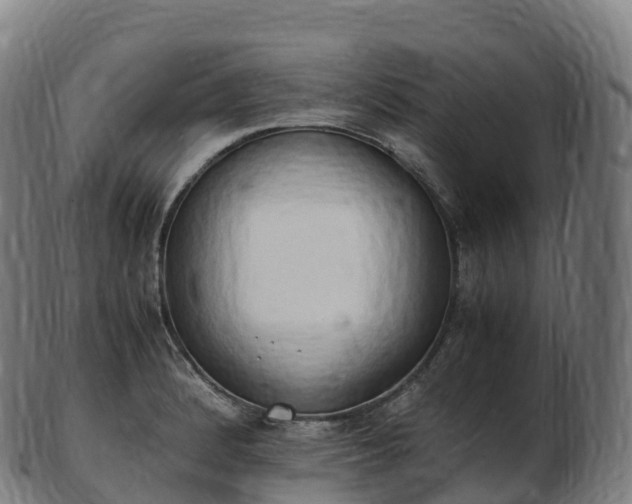 X0000103331184200809121203