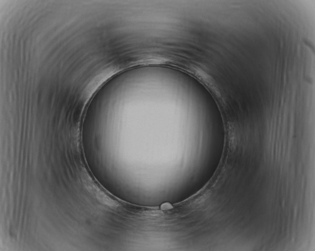 X0000103331186200809121203