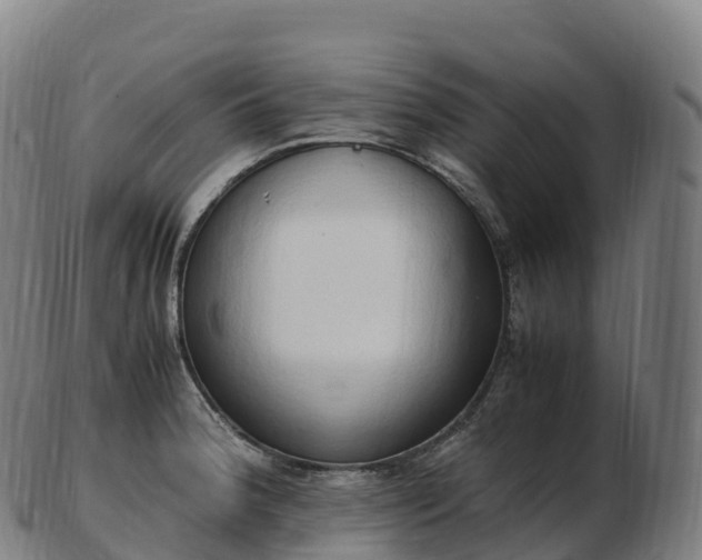 X0000103331188200809121203