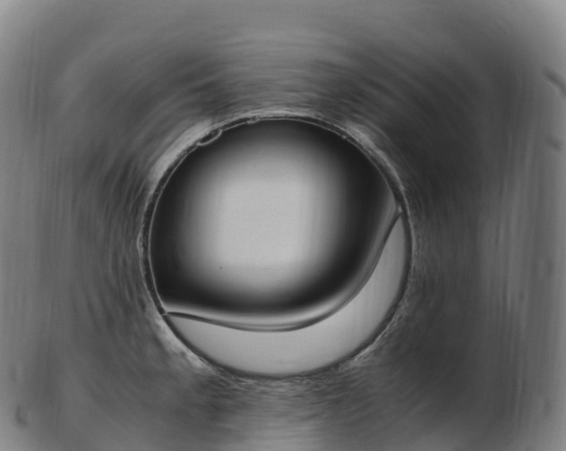 X0000103331189200809121203