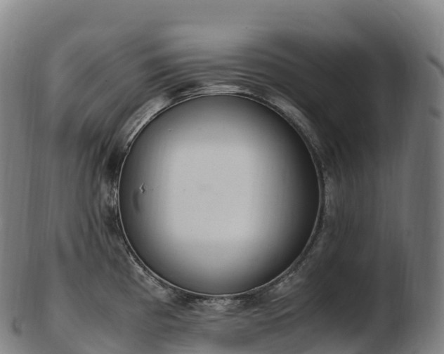 X0000103331193200809121203