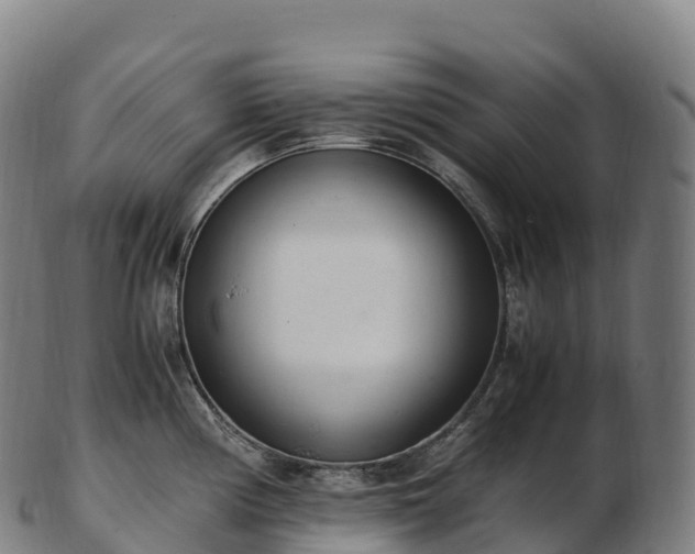 X0000103331194200809121203