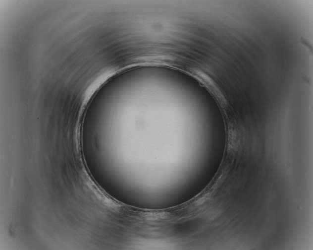 X0000103331196200809121203