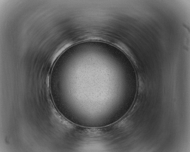 X0000103331198200809121203