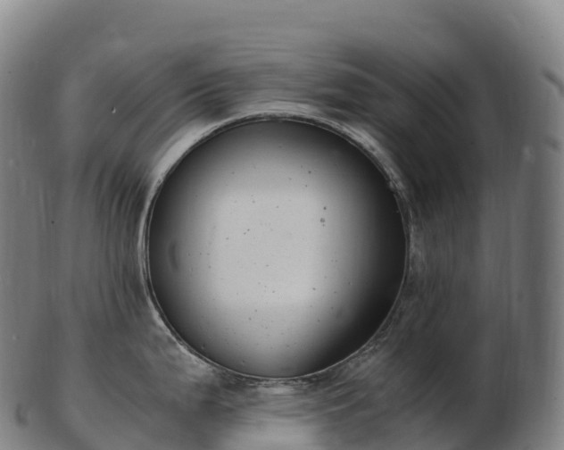 X0000103331199200809121203