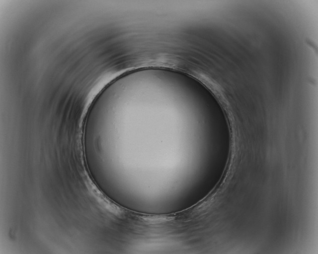 X0000103331200200809121203