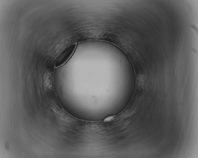 X0000103331202200809121202