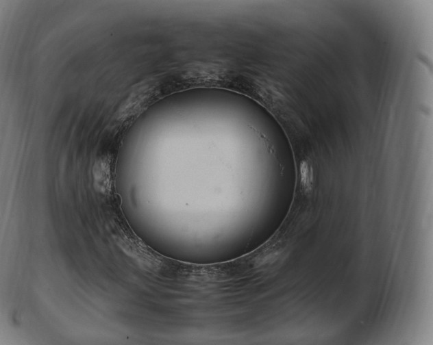 X0000103331203200809121202