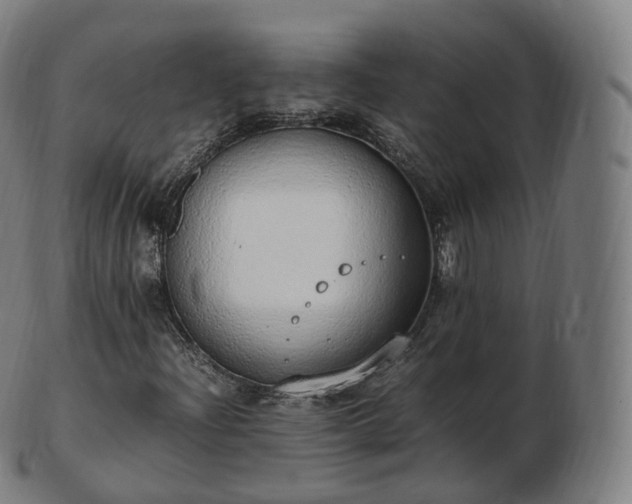 X0000103331204200809121203