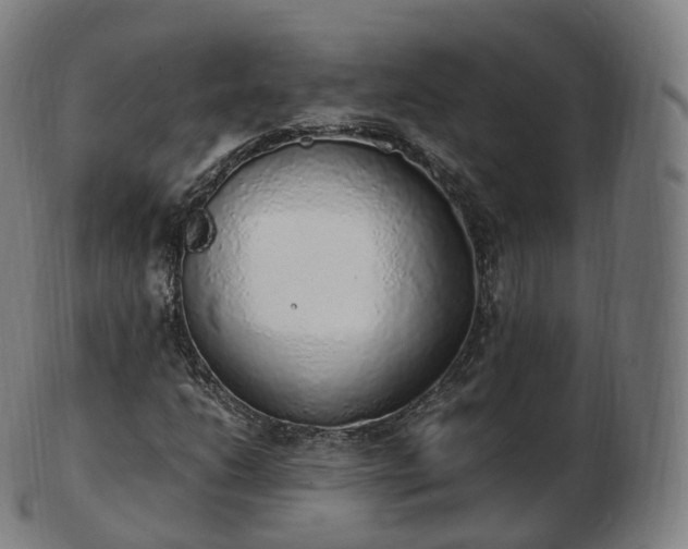 X0000103331206200809121203