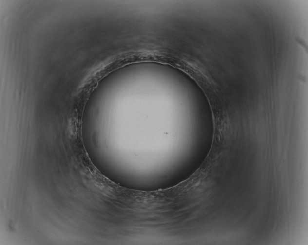 X0000103331207200809121203