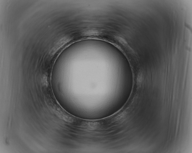 X0000103331209200809121203