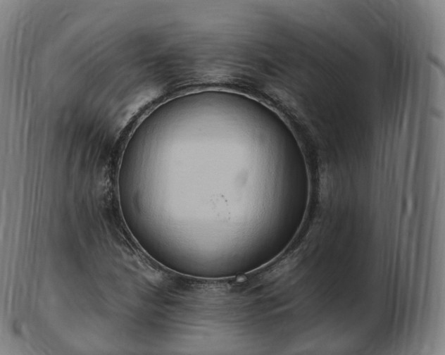 X0000103331210200809121203