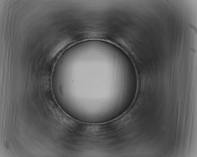 X0000103331211200809121203