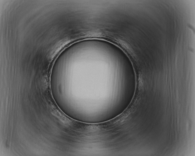 X0000103331212200809121203