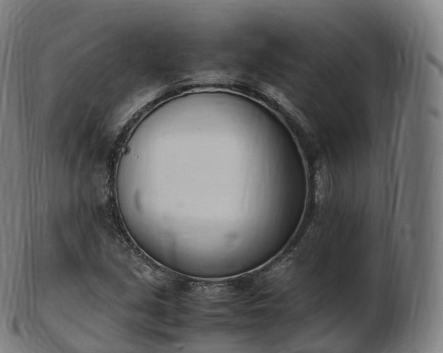 X0000103331213200809121203