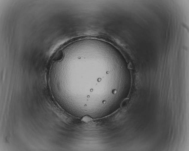 X0000103331214200809121203