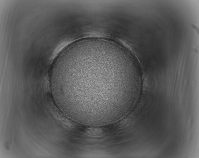 X0000103331215200809121203