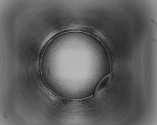 X0000103331216200809121203