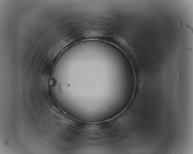 X0000103331217200809121203