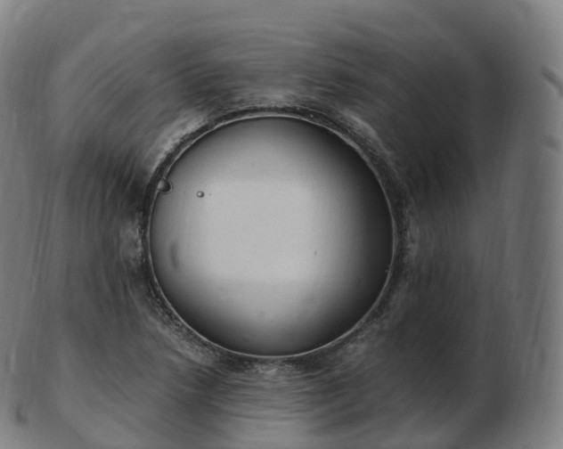 X0000103331218200809121203