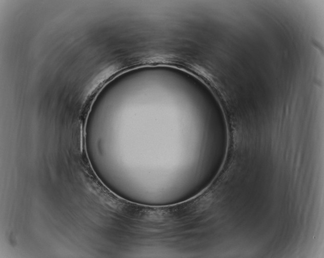 X0000103331219200809121203