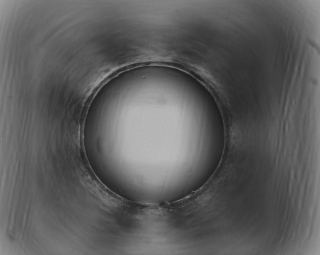 X0000103331220200809121203