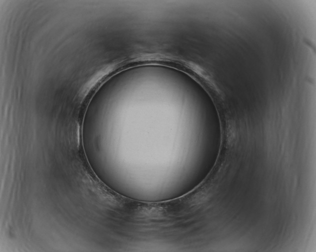 X0000103331221200809121203