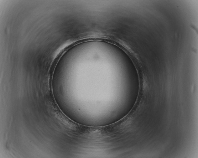 X0000103331222200809121203