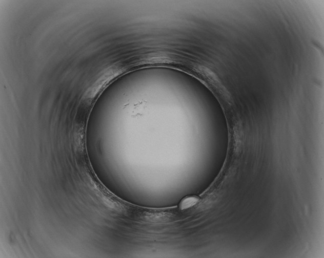 X0000103331225200809121203