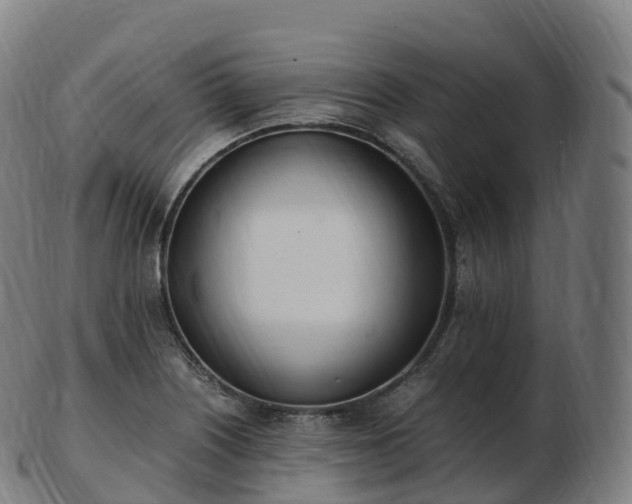 X0000103331226200809121203