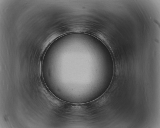 X0000103331227200809121203