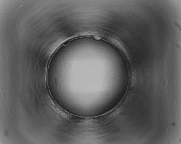 X0000103331228200809121203